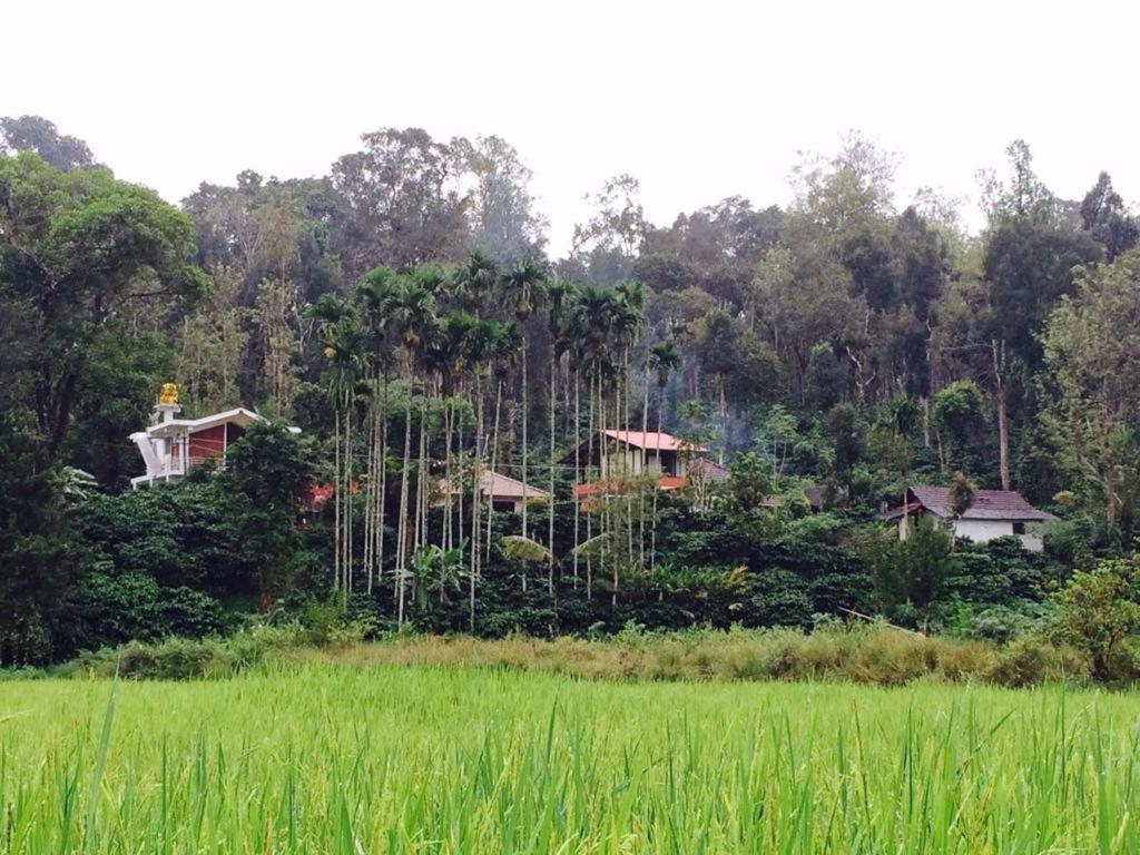 Pool Side Villa'S Of Coorg 马迪凯里 外观 照片