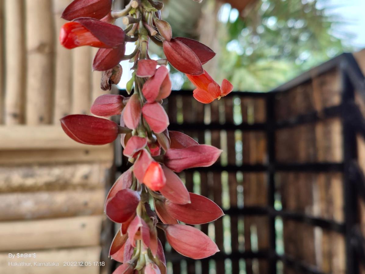 Pool Side Villa'S Of Coorg 马迪凯里 外观 照片