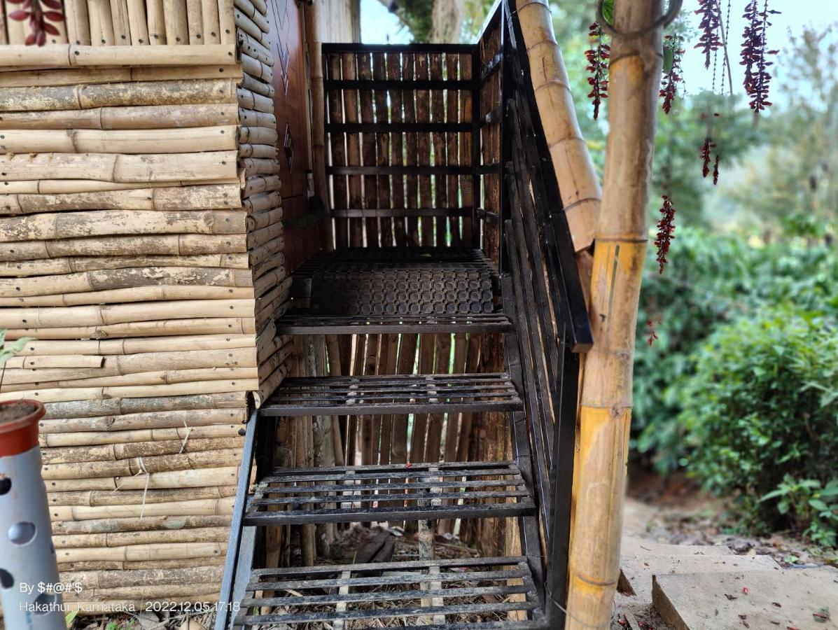 Pool Side Villa'S Of Coorg 马迪凯里 外观 照片